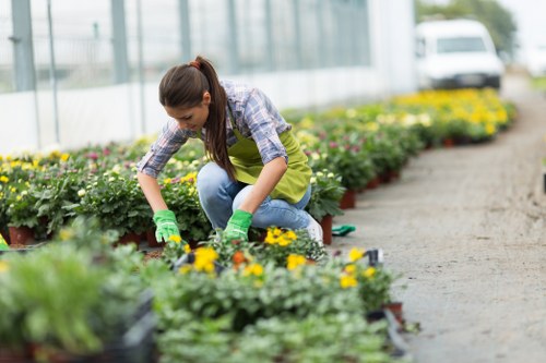 Professional garden clearance services in Highbury