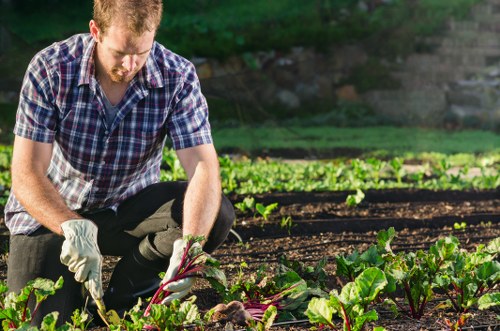 Gardener mowing a typical Highbury terraced garden