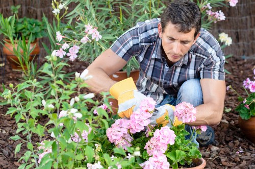 Customized lawn mowing solutions for Highbury residents